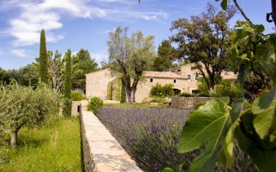 Paysagiste Saint-Rémy-de-Provence, Les Jardins de Glanum