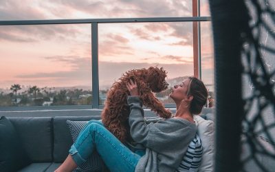 Les animaux, le secret du bonheur