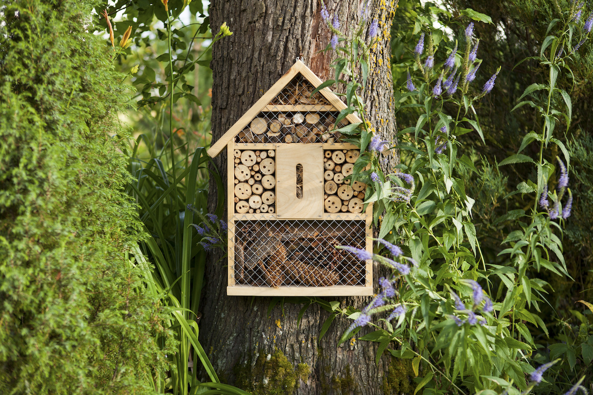 Insect house in the garden, protection for insects, insekt hotel