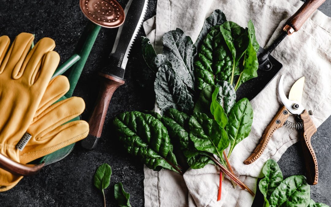 Un potager en hiver, pourquoi faire ?