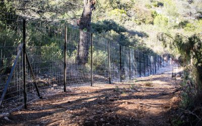 MDN – Spécialiste de la pose de clôtures en région PACA