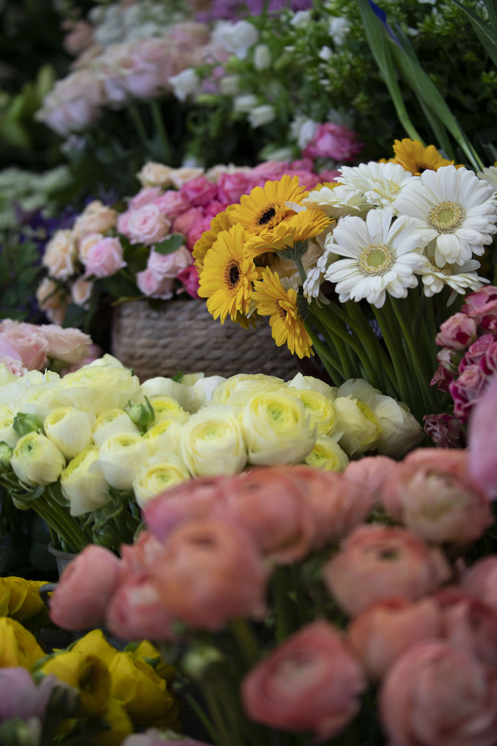 Aux Fleurs de Marie - Fleuriste à Aix-en-Provence -2