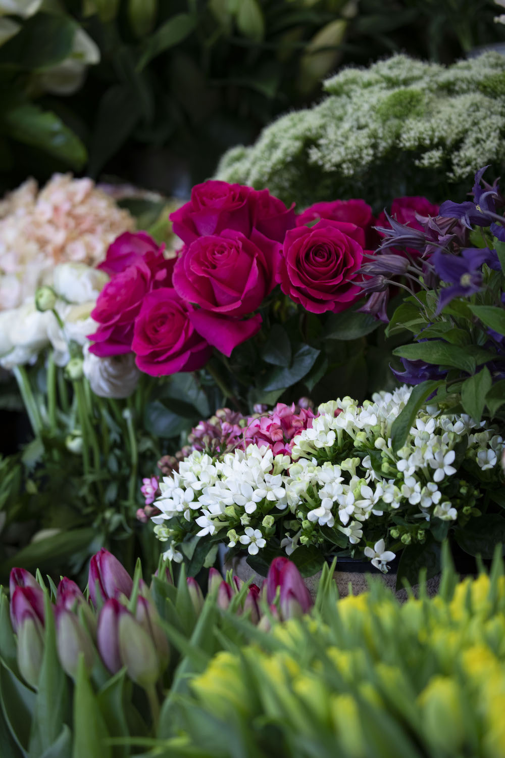 Aux Fleurs de Marie - Fleuriste à Aix-en-Provence -3
