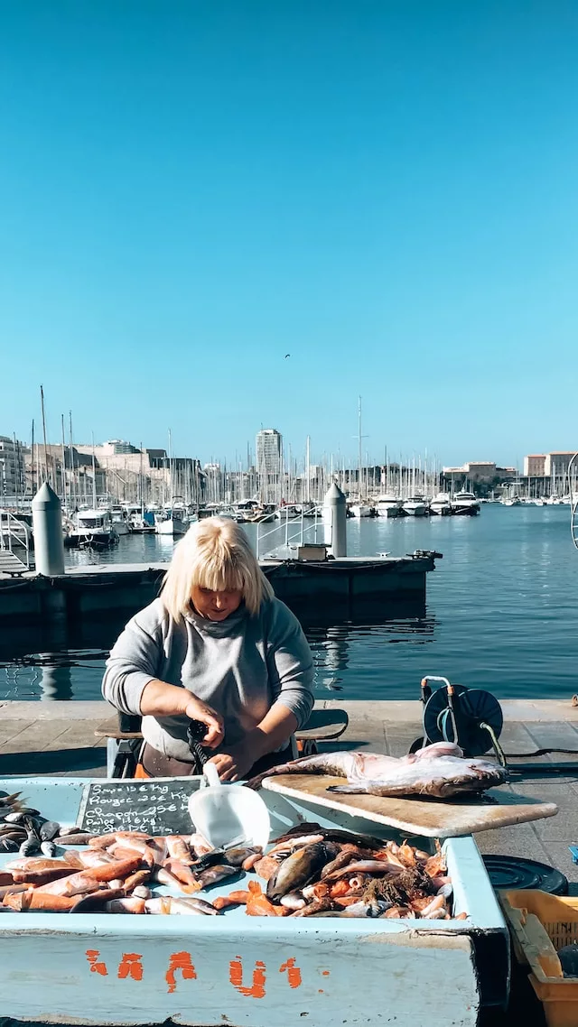 le marché aux poissons de marseille parmi les plus beaux marchés de provence 