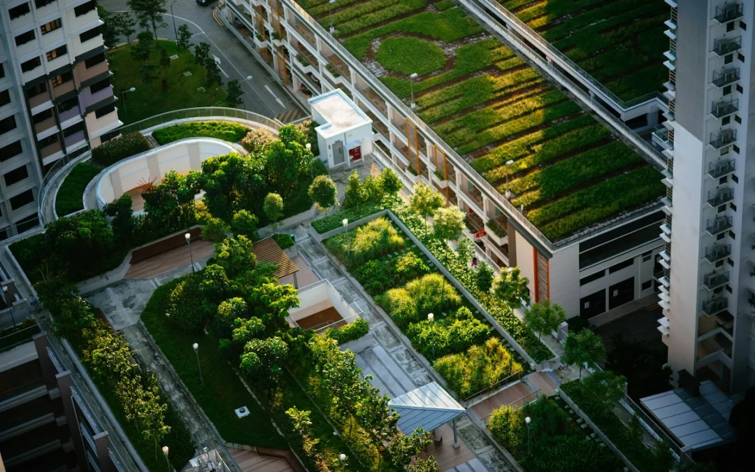 L’agriculture urbaine : Révolution verte des villes modernes