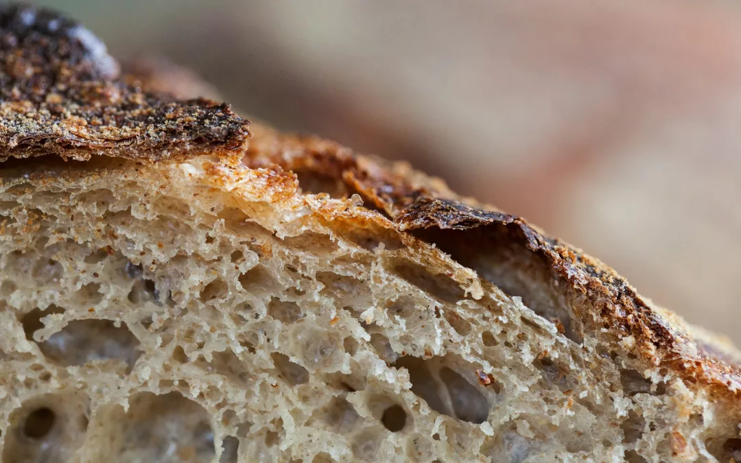 Quel est le meilleur pain pour la santé ?