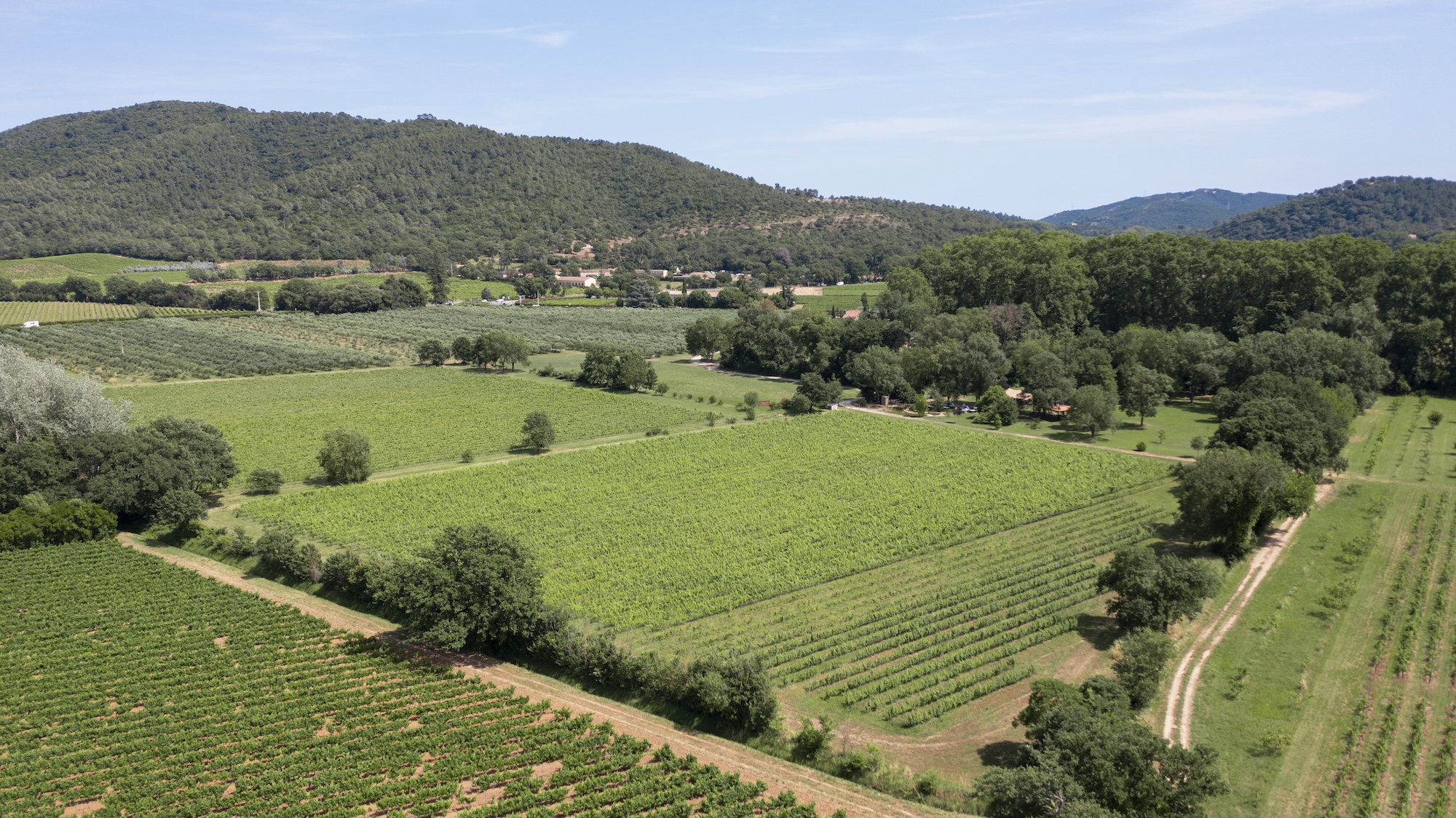 jardin en longueur par Oliveira paysage