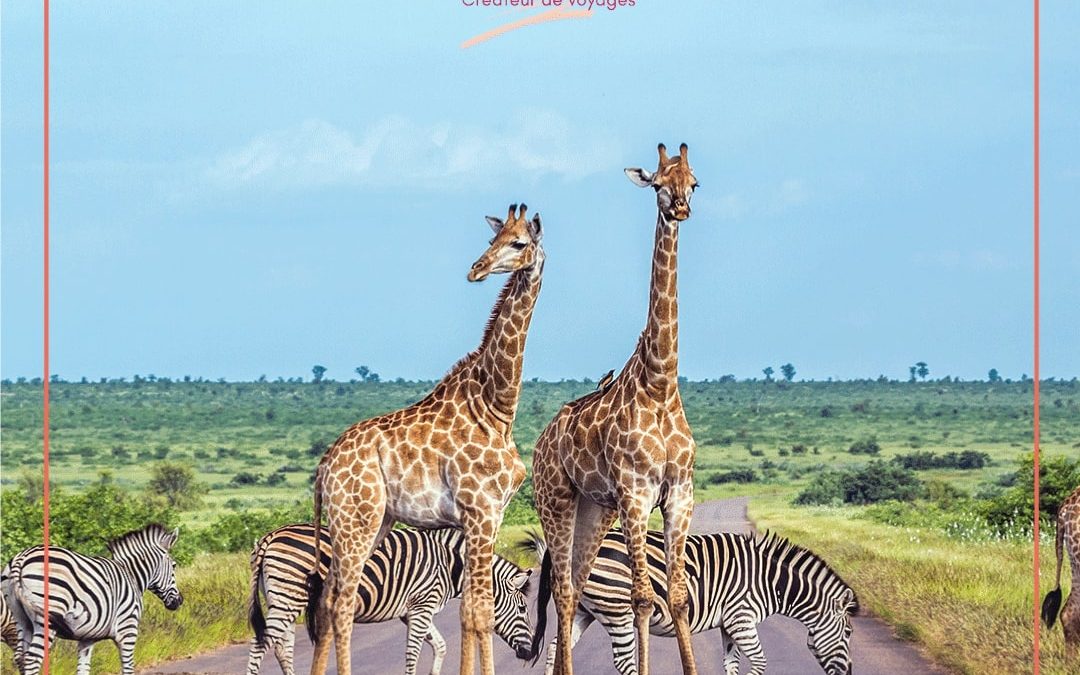 Afrique
