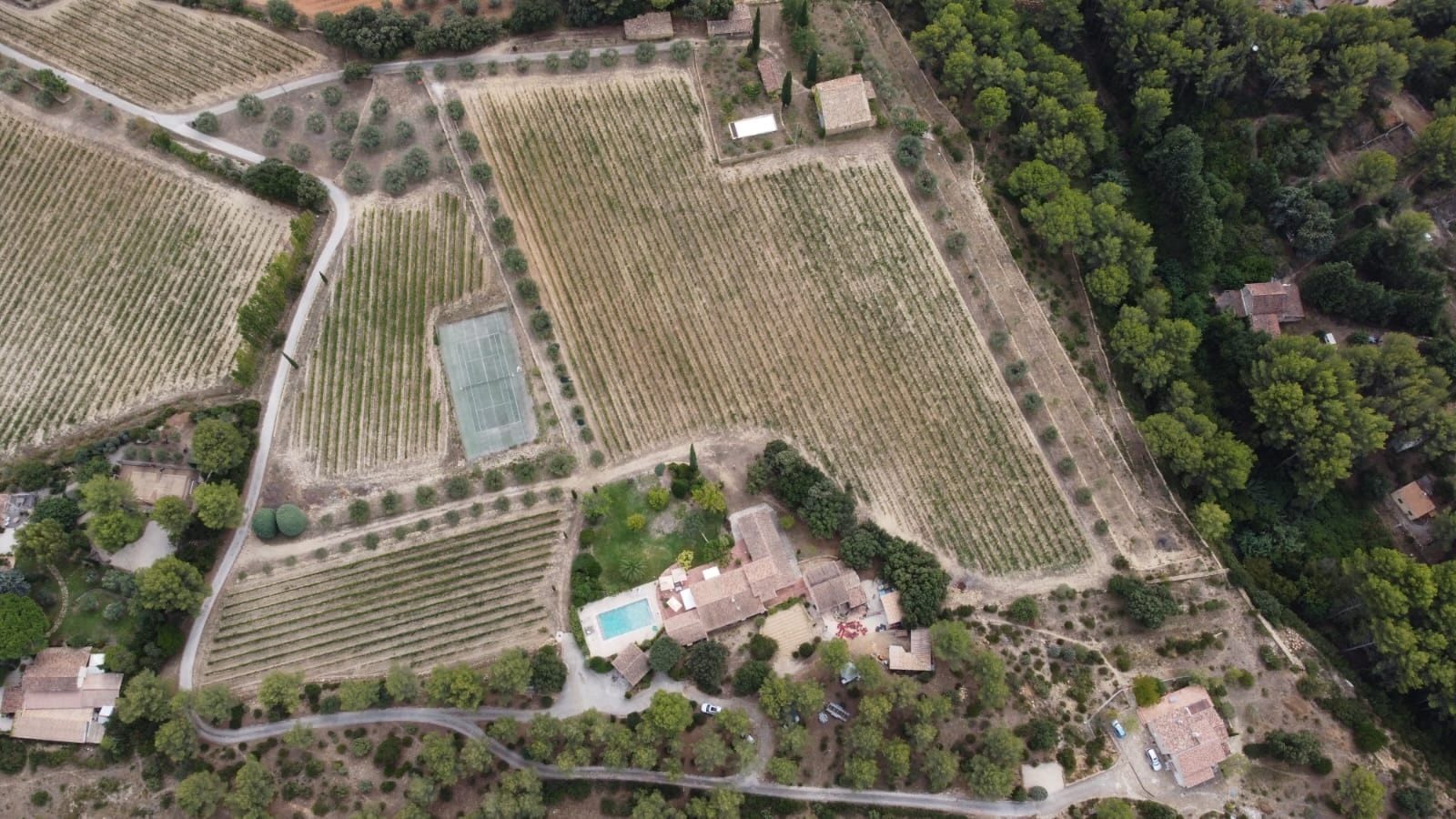 jardin en longueur par Oliveira paysage