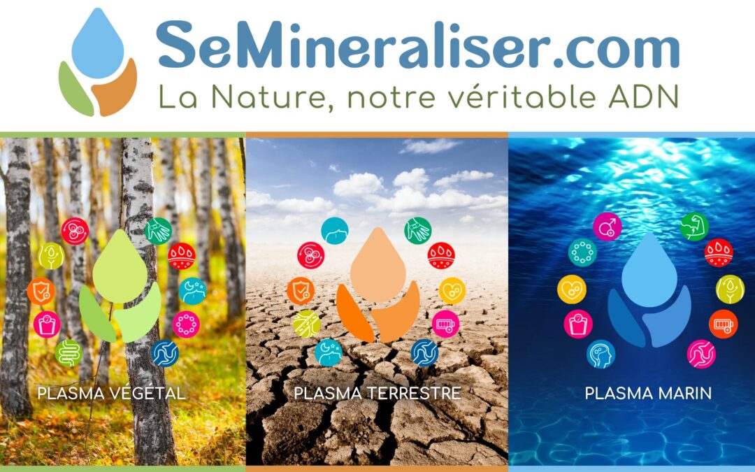 semineraliser.com – Produits naturels détoxifiants