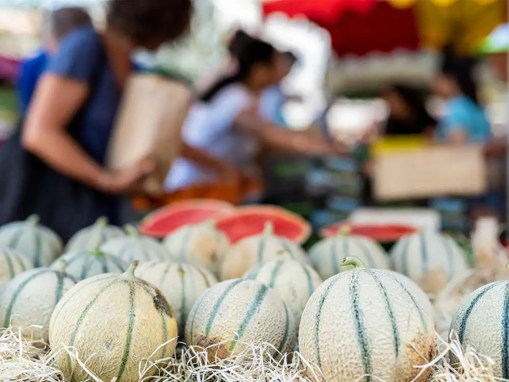 le marché aux poissons de marseille parmi les plus beaux marchés de provence 