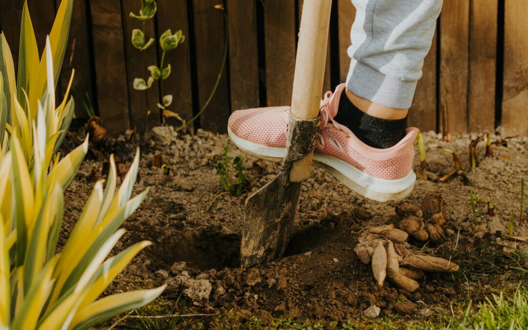 Peut-on enterrer son chien dans son jardin ?