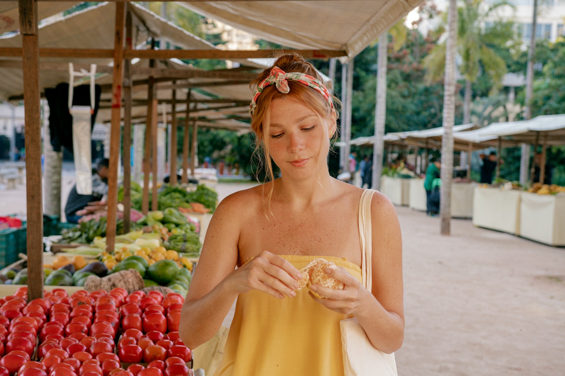 marchés du var littoral