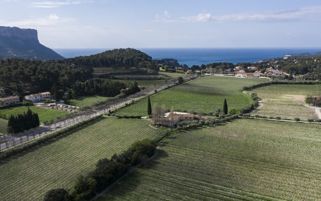 Clos d’Albizzi – Domaine viticole à Cassis