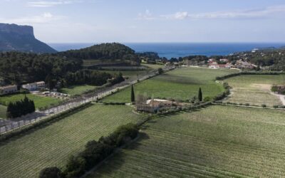 Clos d’Albizzi – Domaine viticole à Cassis