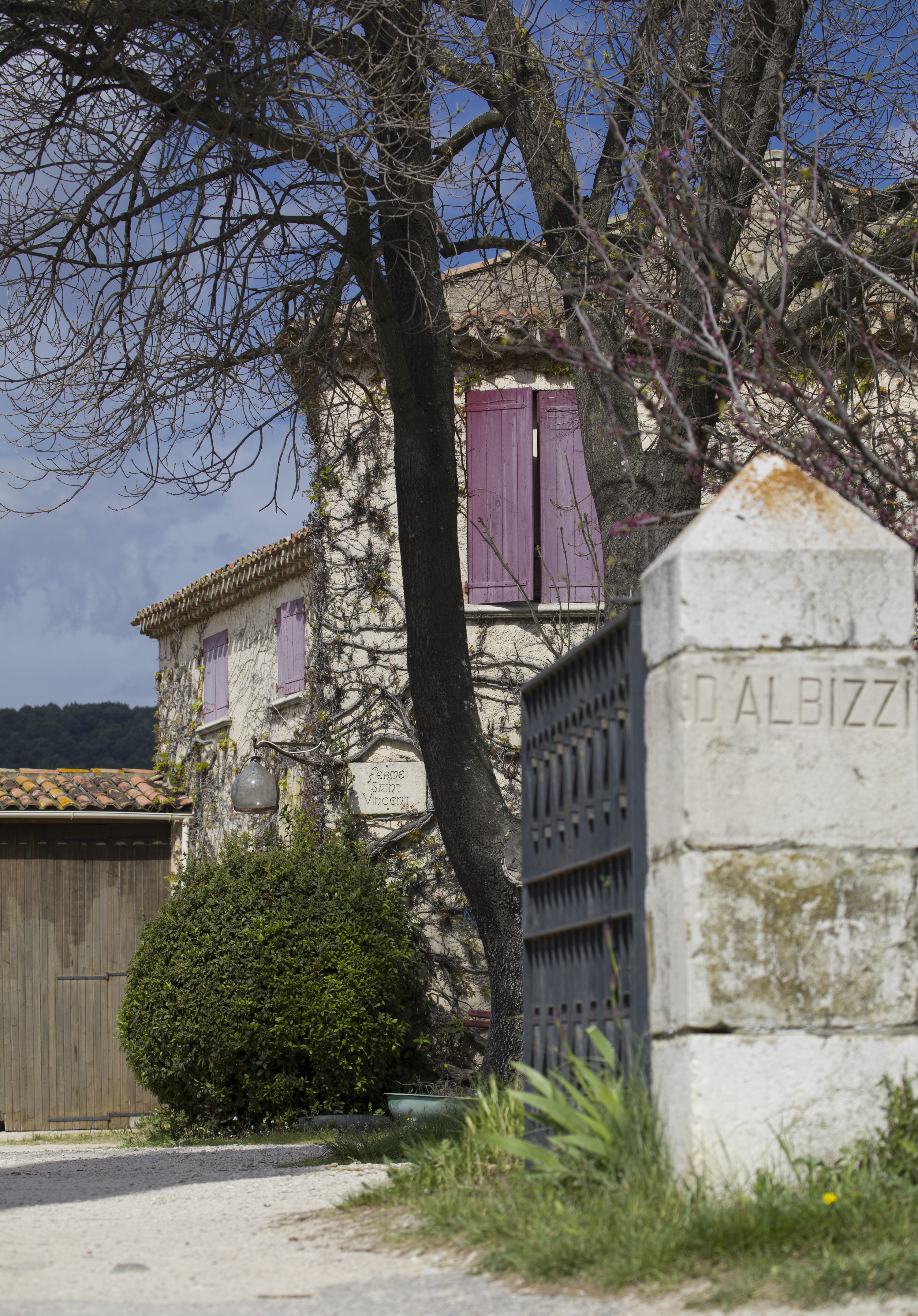 François Dumon - Propriétaire Clos d'Albizzi