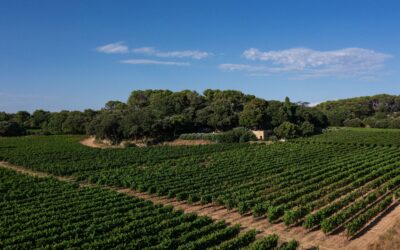 Un été d’expériences sensorielles au Château Bonisson à Rognes