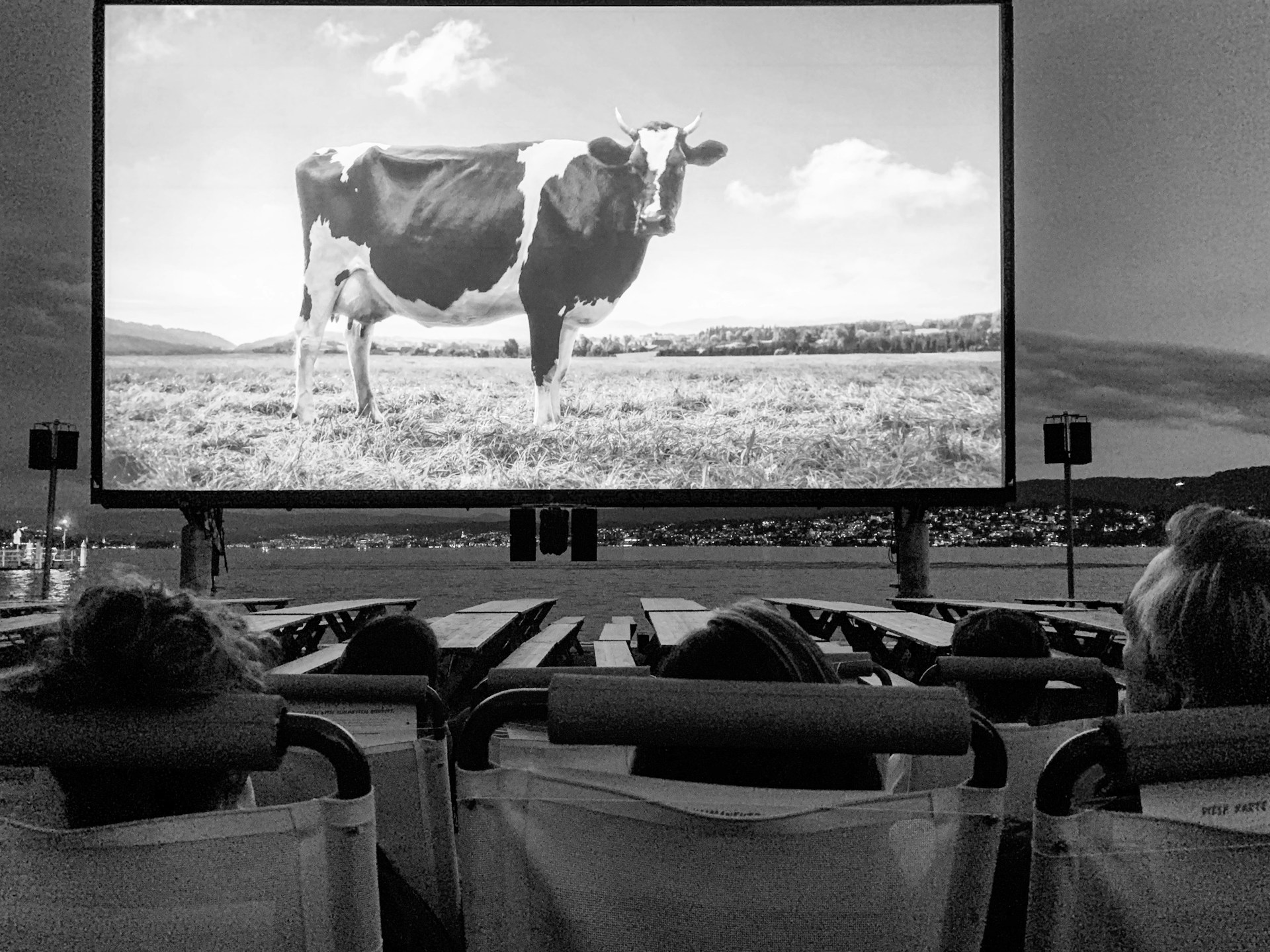 cinéma plein air : exemple d'activité urbaine à faire en couple<br />