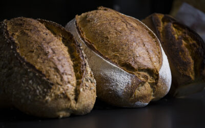 Le Fournil des Ateliers – Boulangerie à Arles