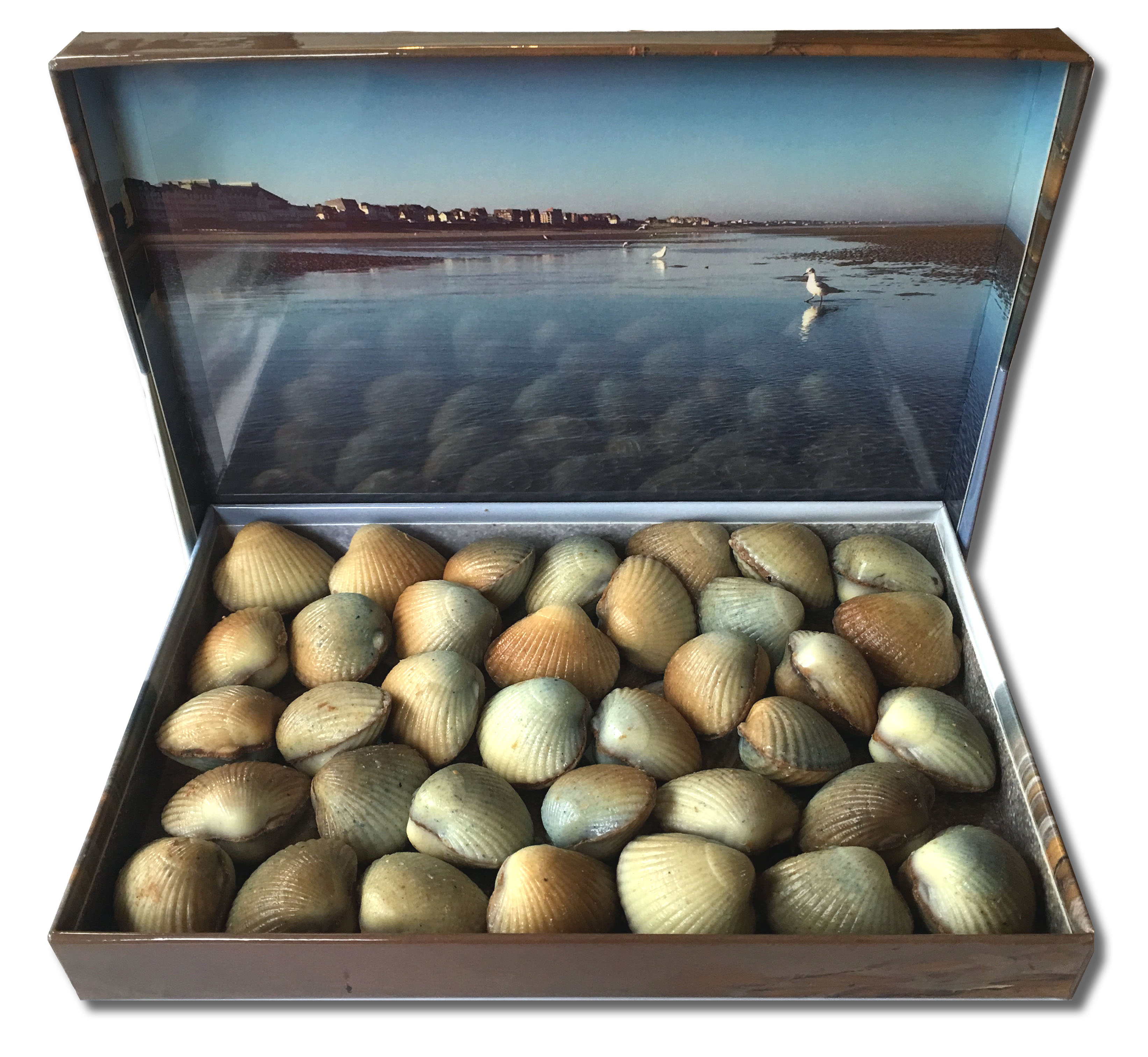 Les Coques de Cabourg – Une spécialité normande innovante -8