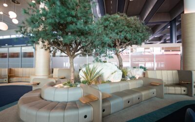 Les Jardins de Gally à Aubagne – Paysagiste d’intérieur