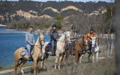 Verdon Équitation : balades et randonnées à cheval au lac de Sainte-Croix et dans les Gorges du Verdon