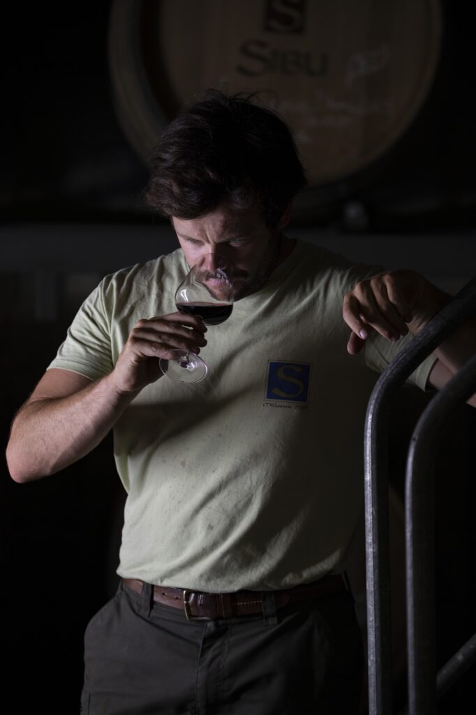 Loïc Alazard, Vigneron · vins bio de la vallée du Rhône à Sablet